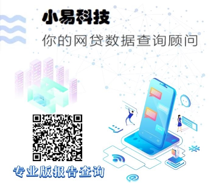 小易大数据征信查询