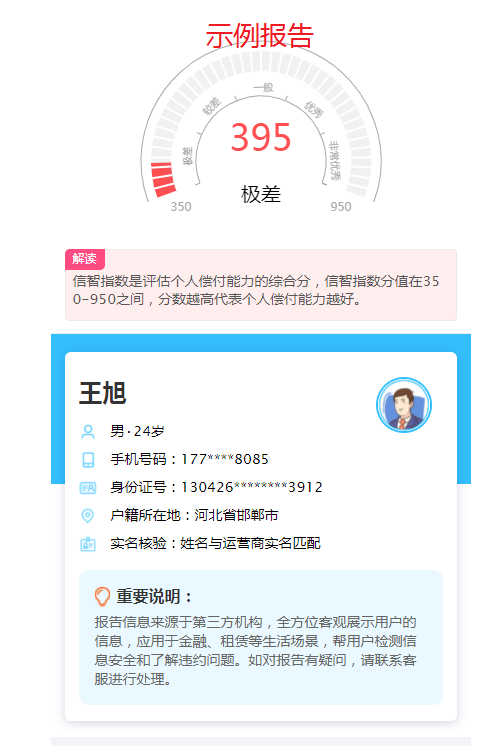 征信示例报告