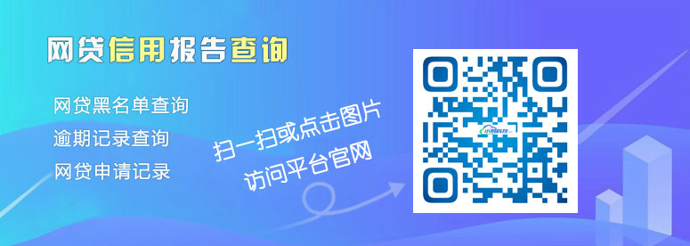 大数据征信查询平台